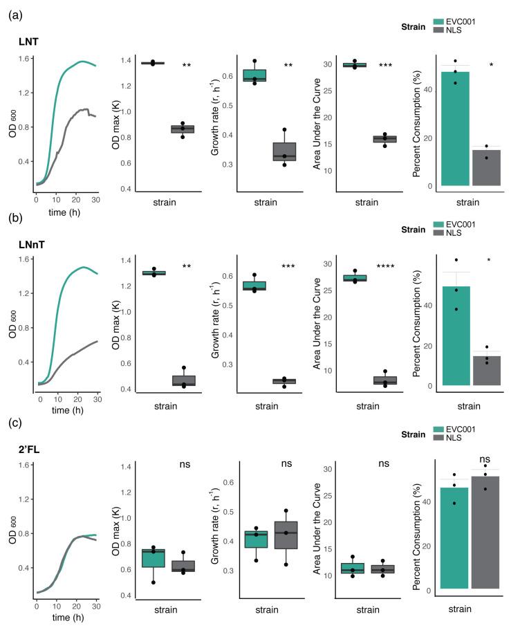 https://cdn.ncbi.nlm.nih.gov/pmc/blobs/26e0/7690671/3bd62e6baad6/nutrients-12-03247-g003.jpg