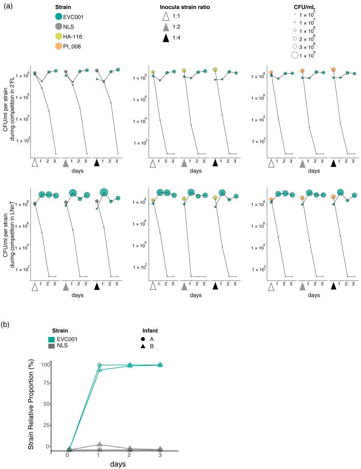 https://cdn.ncbi.nlm.nih.gov/pmc/blobs/26e0/7690671/dcb246211bf2/nutrients-12-03247-g005.jpg