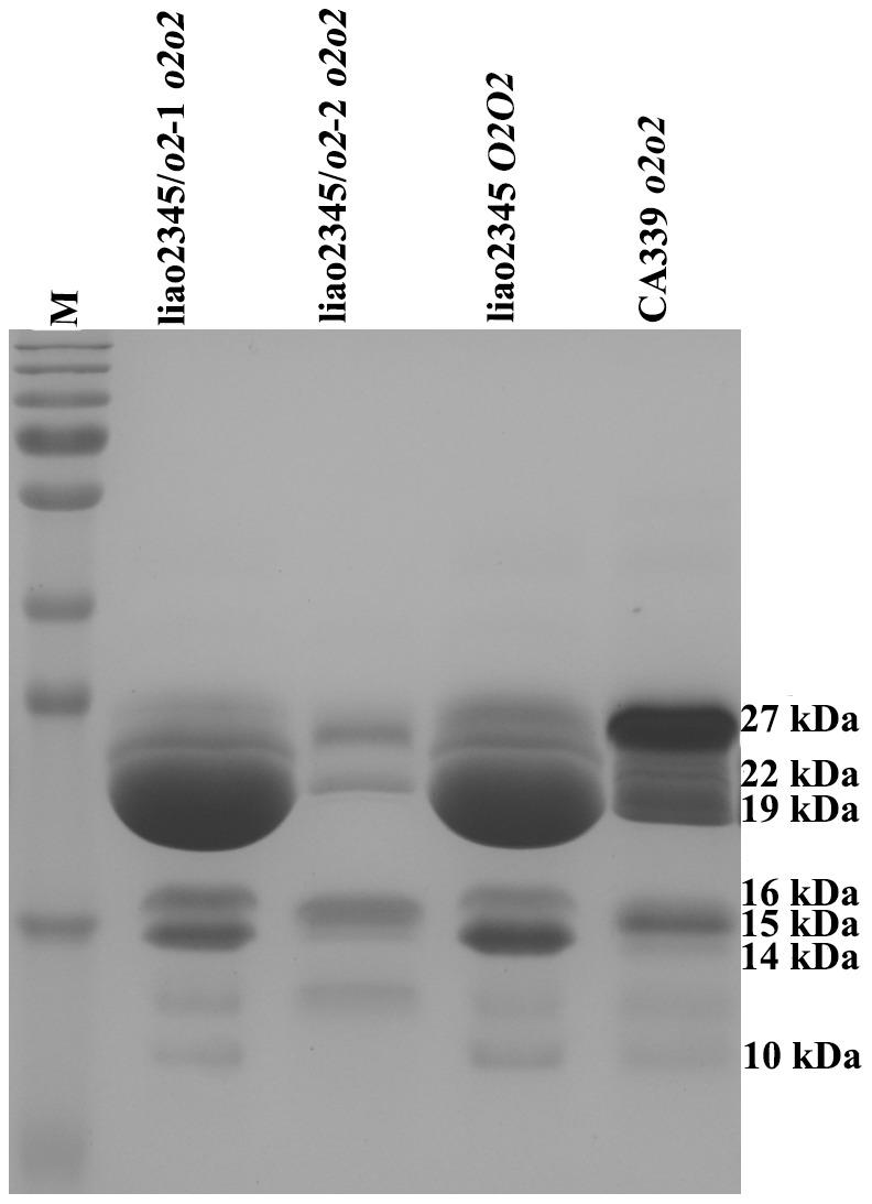 https://cdn.ncbi.nlm.nih.gov/pmc/blobs/26e2/3887028/cafe23a841b1/pone.0085159.g003.jpg