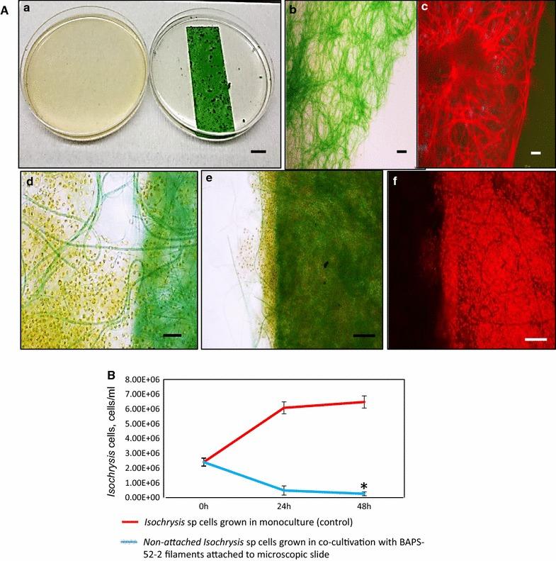https://cdn.ncbi.nlm.nih.gov/pmc/blobs/26e3/5424312/cb09f8476643/13068_2017_798_Fig6_HTML.jpg