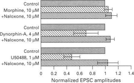 https://cdn.ncbi.nlm.nih.gov/pmc/blobs/26e4/1909891/477d4177ed97/brjpharm00087-0049-c.jpg
