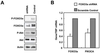 https://cdn.ncbi.nlm.nih.gov/pmc/blobs/26e6/2924889/5a5c0e060310/pone.0012293.g009.jpg