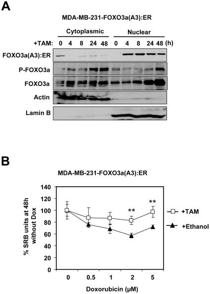 https://cdn.ncbi.nlm.nih.gov/pmc/blobs/26e6/2924889/6bce5177d5bd/pone.0012293.g013.jpg