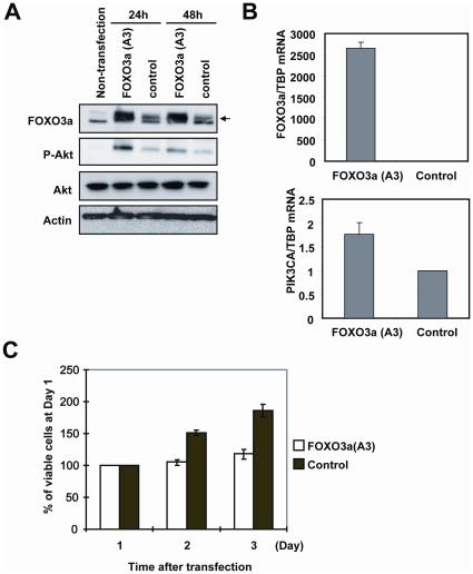 https://cdn.ncbi.nlm.nih.gov/pmc/blobs/26e6/2924889/789490a90371/pone.0012293.g008.jpg