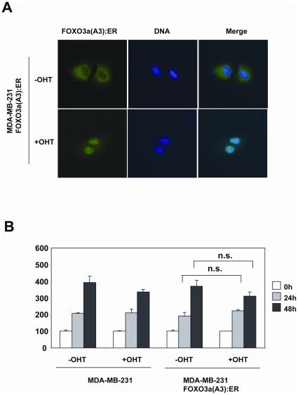 https://cdn.ncbi.nlm.nih.gov/pmc/blobs/26e6/2924889/9202cab288b9/pone.0012293.g011.jpg
