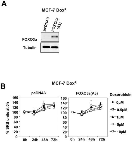 https://cdn.ncbi.nlm.nih.gov/pmc/blobs/26e6/2924889/fb872c271116/pone.0012293.g012.jpg