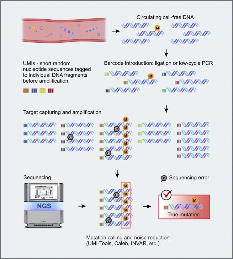 https://cdn.ncbi.nlm.nih.gov/pmc/blobs/26e8/12332530/1ae20d08c07a/etat-06-1002333-g002.jpg