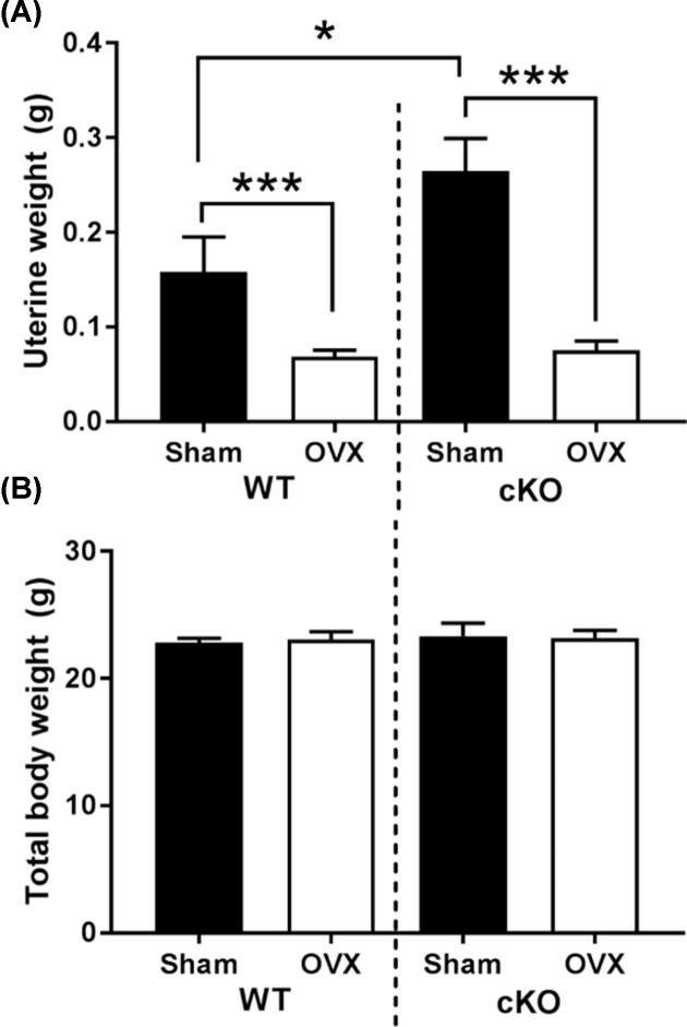 https://cdn.ncbi.nlm.nih.gov/pmc/blobs/26e8/6954370/61debdfe74a4/bsr-40-bsr20190329-g1.jpg