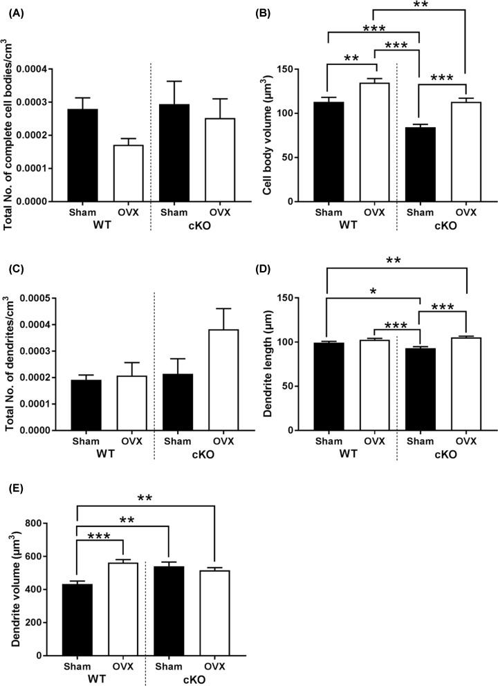 https://cdn.ncbi.nlm.nih.gov/pmc/blobs/26e8/6954370/64fad11925a0/bsr-40-bsr20190329-g3.jpg