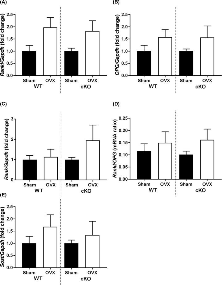 https://cdn.ncbi.nlm.nih.gov/pmc/blobs/26e8/6954370/a19121d13627/bsr-40-bsr20190329-g4.jpg