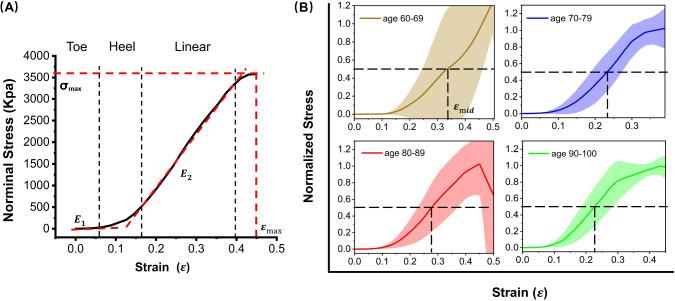 https://cdn.ncbi.nlm.nih.gov/pmc/blobs/26e9/11101527/2be7dab39cdd/10237_2023_1813_Fig2_HTML.jpg