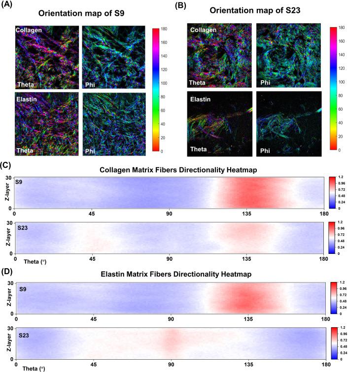 https://cdn.ncbi.nlm.nih.gov/pmc/blobs/26e9/11101527/b102bc3da745/10237_2023_1813_Fig4_HTML.jpg