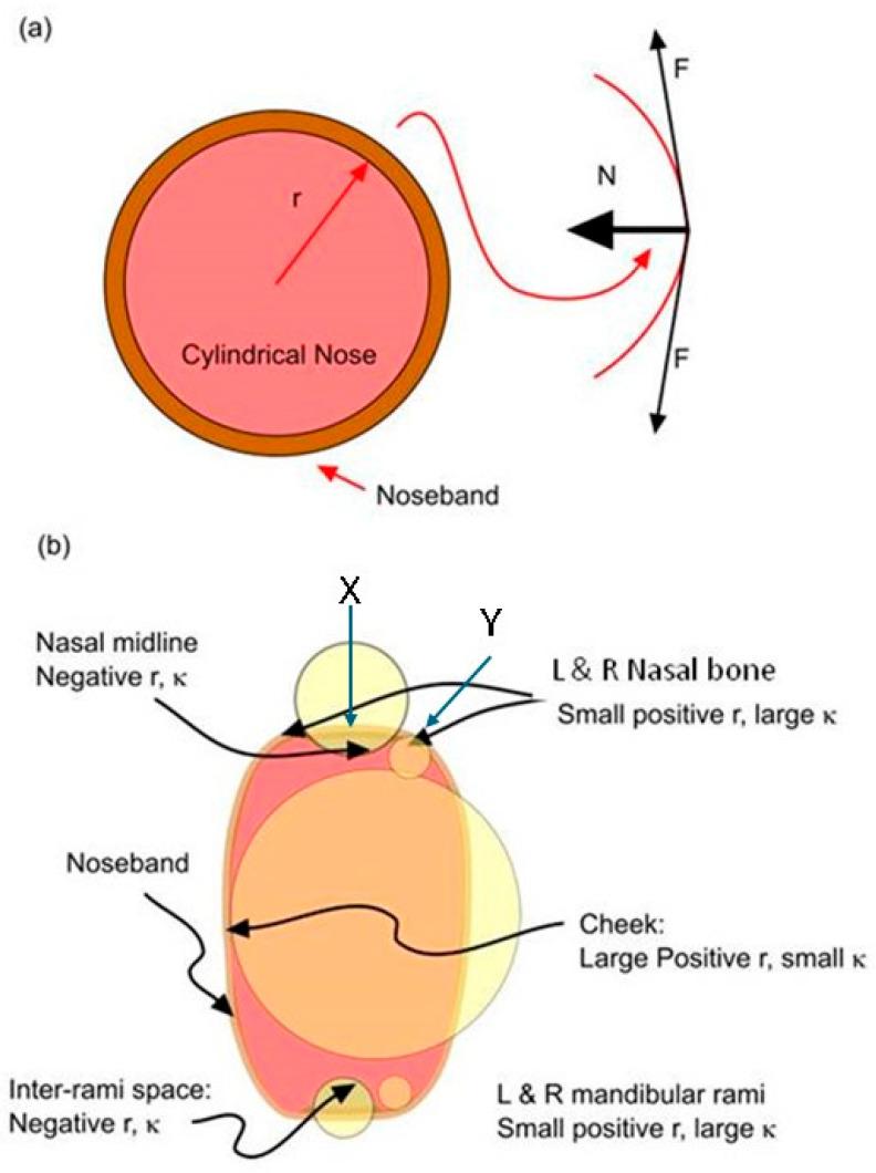 https://cdn.ncbi.nlm.nih.gov/pmc/blobs/26e9/12291742/b350d9099534/animals-15-02141-g007.jpg