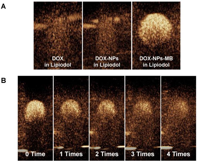 https://cdn.ncbi.nlm.nih.gov/pmc/blobs/26e9/7681087/5c576e504a25/thnov11p0079g003.jpg