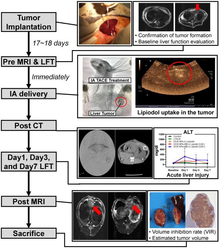 https://cdn.ncbi.nlm.nih.gov/pmc/blobs/26e9/7681087/cafc759975c3/thnov11p0079g005.jpg