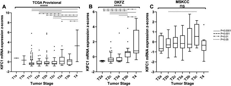 https://cdn.ncbi.nlm.nih.gov/pmc/blobs/26e9/7990808/7f66291420c7/12032_2021_1494_Fig2_HTML.jpg