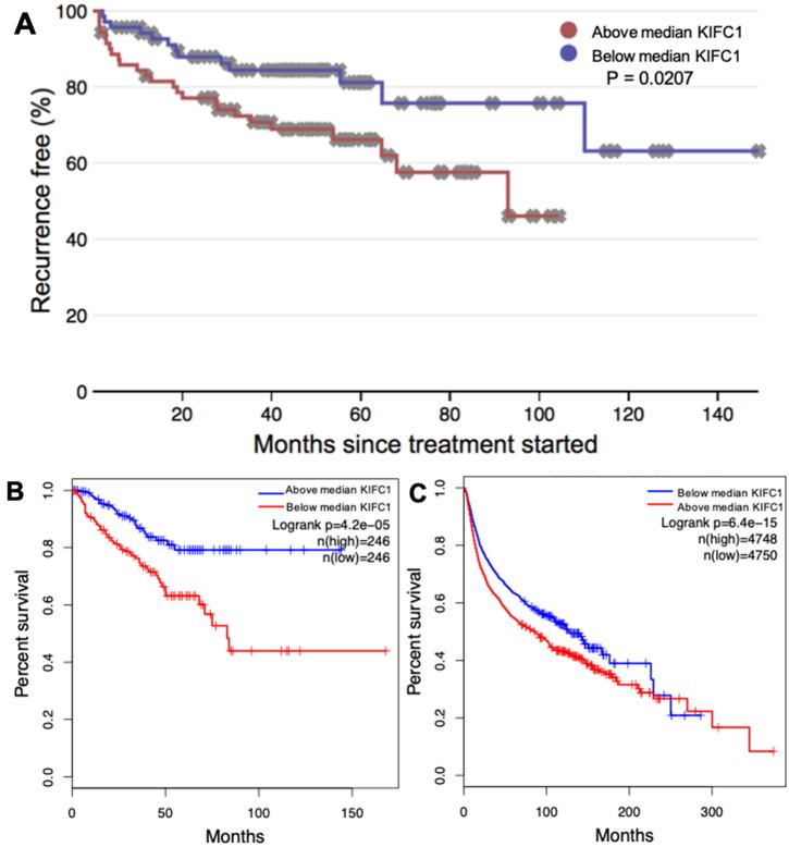 https://cdn.ncbi.nlm.nih.gov/pmc/blobs/26e9/7990808/dd4787cccdf5/12032_2021_1494_Fig4_HTML.jpg