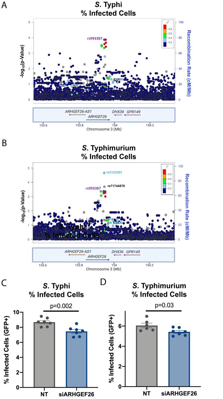 https://cdn.ncbi.nlm.nih.gov/pmc/blobs/26e9/8294491/245bd5b6ef91/ppat.1009713.g002.jpg
