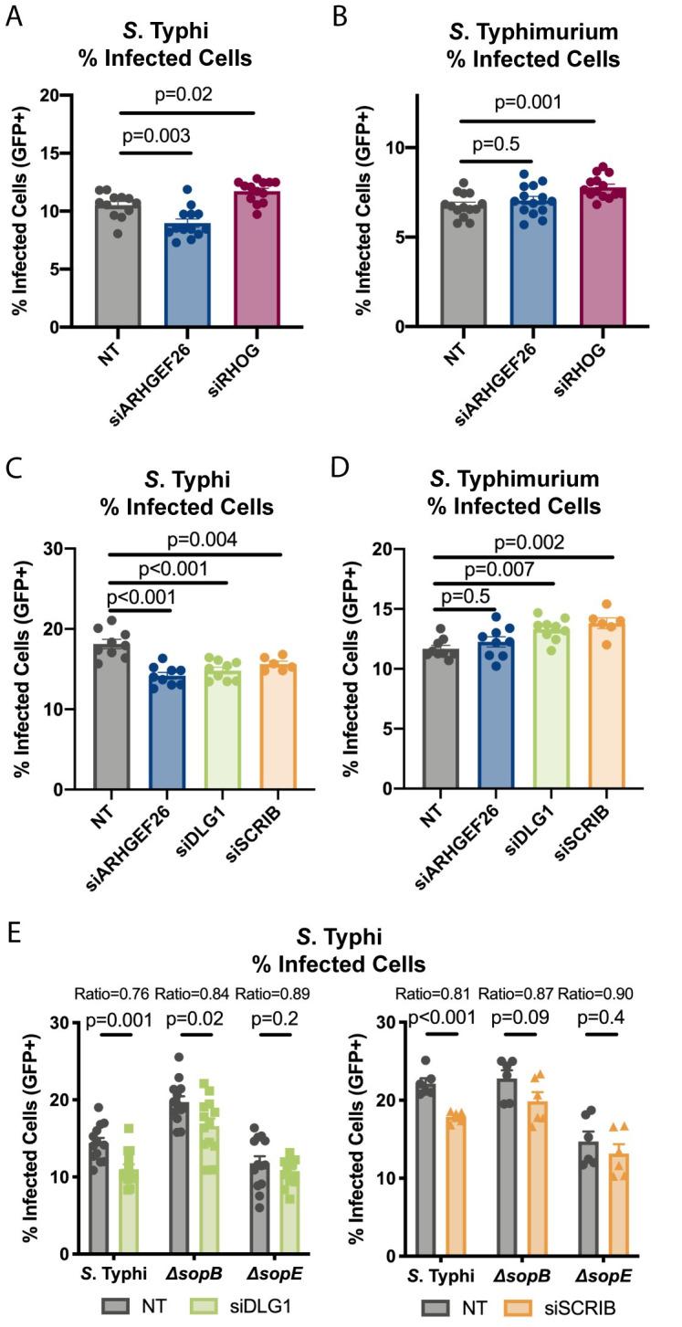 https://cdn.ncbi.nlm.nih.gov/pmc/blobs/26e9/8294491/a915ec186196/ppat.1009713.g004.jpg