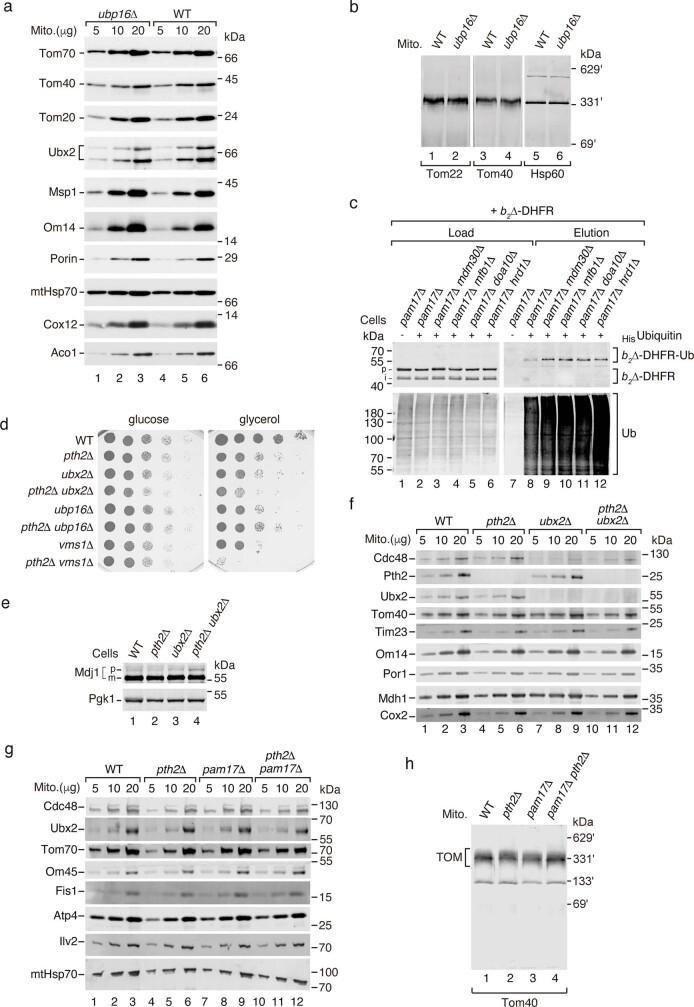 https://cdn.ncbi.nlm.nih.gov/pmc/blobs/26ea/9892010/06eac2a86c9b/41586_2022_5641_Fig15_ESM.jpg