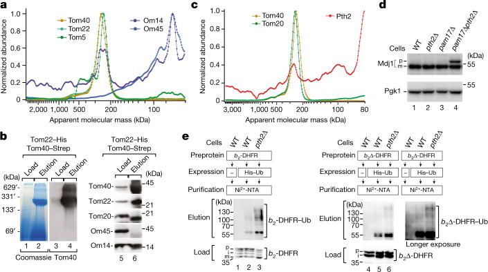 https://cdn.ncbi.nlm.nih.gov/pmc/blobs/26ea/9892010/678730a739bb/41586_2022_5641_Fig3_HTML.jpg