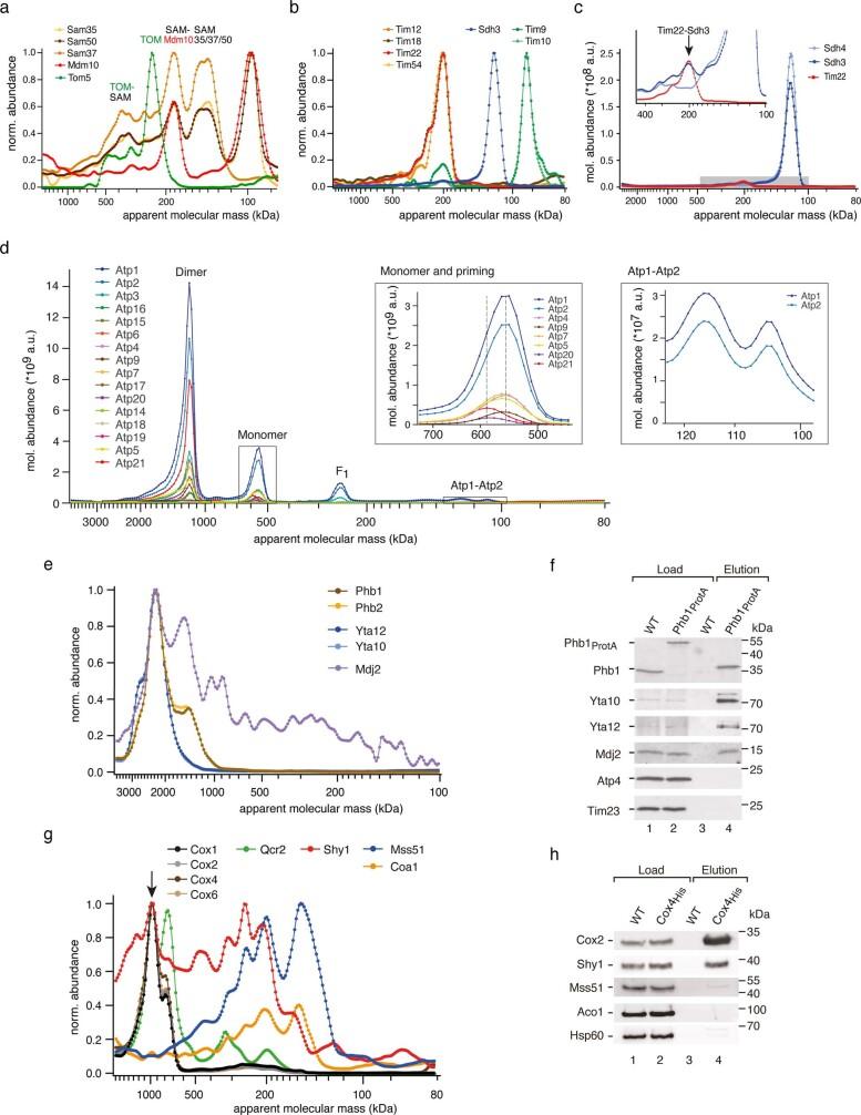 https://cdn.ncbi.nlm.nih.gov/pmc/blobs/26ea/9892010/7d2313b295b3/41586_2022_5641_Fig13_ESM.jpg
