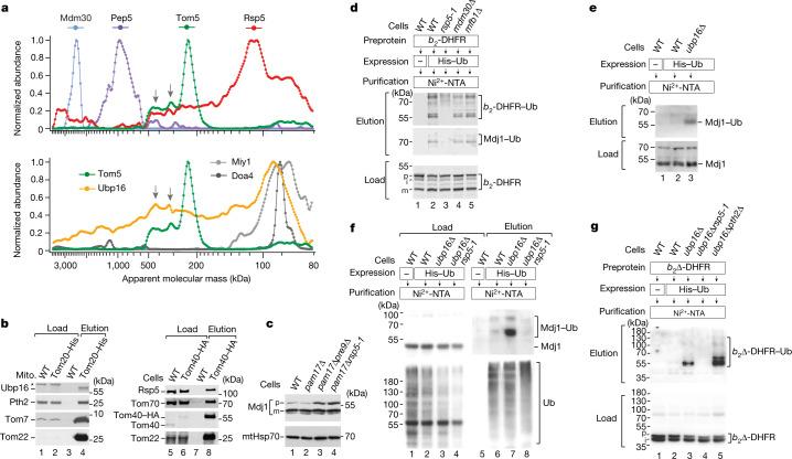 https://cdn.ncbi.nlm.nih.gov/pmc/blobs/26ea/9892010/c6a653862af3/41586_2022_5641_Fig4_HTML.jpg