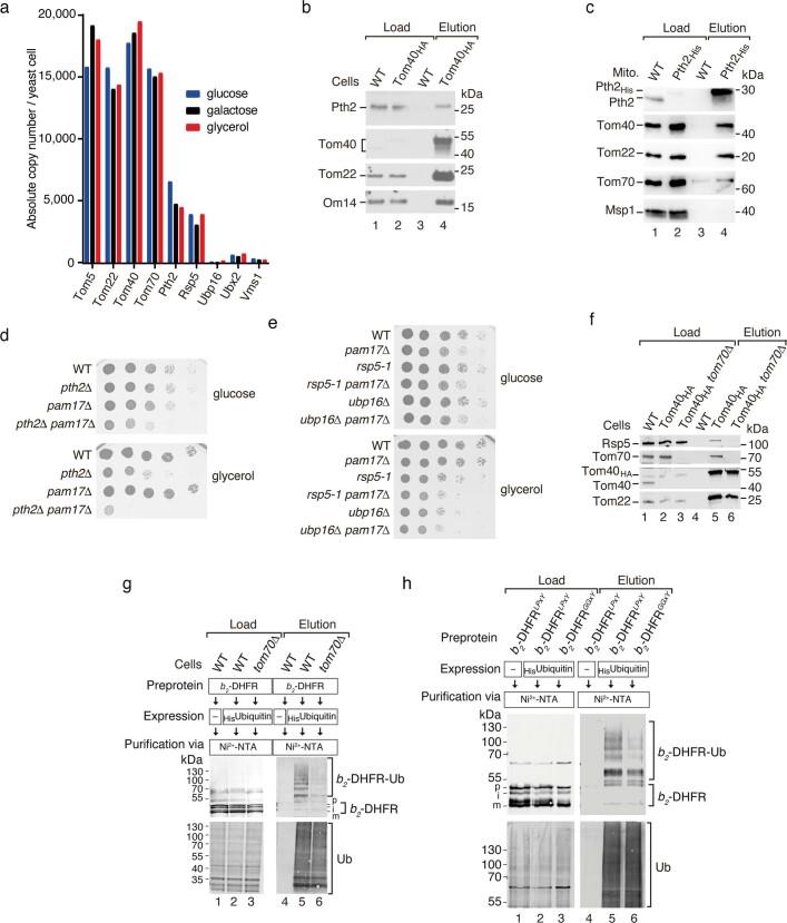 https://cdn.ncbi.nlm.nih.gov/pmc/blobs/26ea/9892010/d6fa992e943d/41586_2022_5641_Fig14_ESM.jpg