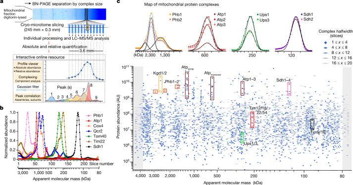 https://cdn.ncbi.nlm.nih.gov/pmc/blobs/26ea/9892010/fd55111f9c4b/41586_2022_5641_Fig1_HTML.jpg