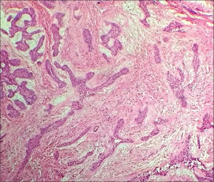 https://cdn.ncbi.nlm.nih.gov/pmc/blobs/26ec/6974990/af20407ec8d3/CCD-10-147-g005.jpg