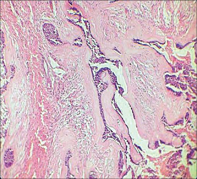 https://cdn.ncbi.nlm.nih.gov/pmc/blobs/26ec/6974990/d80ddf349833/CCD-10-147-g006.jpg