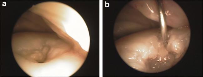 https://cdn.ncbi.nlm.nih.gov/pmc/blobs/26ec/7667135/4165ef1232eb/12015_2020_10025_Fig2_HTML.jpg