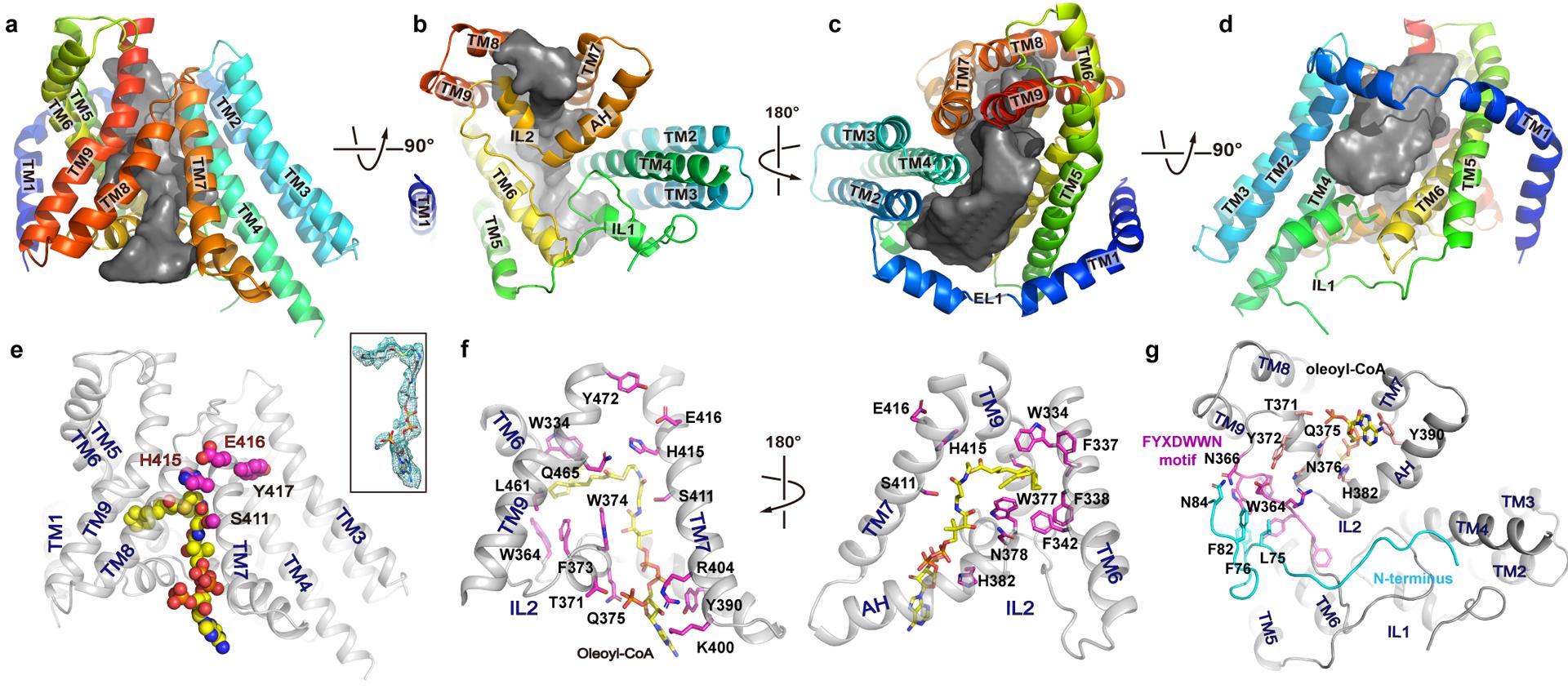 https://cdn.ncbi.nlm.nih.gov/pmc/blobs/26ed/7255049/14a418ba275c/nihms-1577726-f0002.jpg
