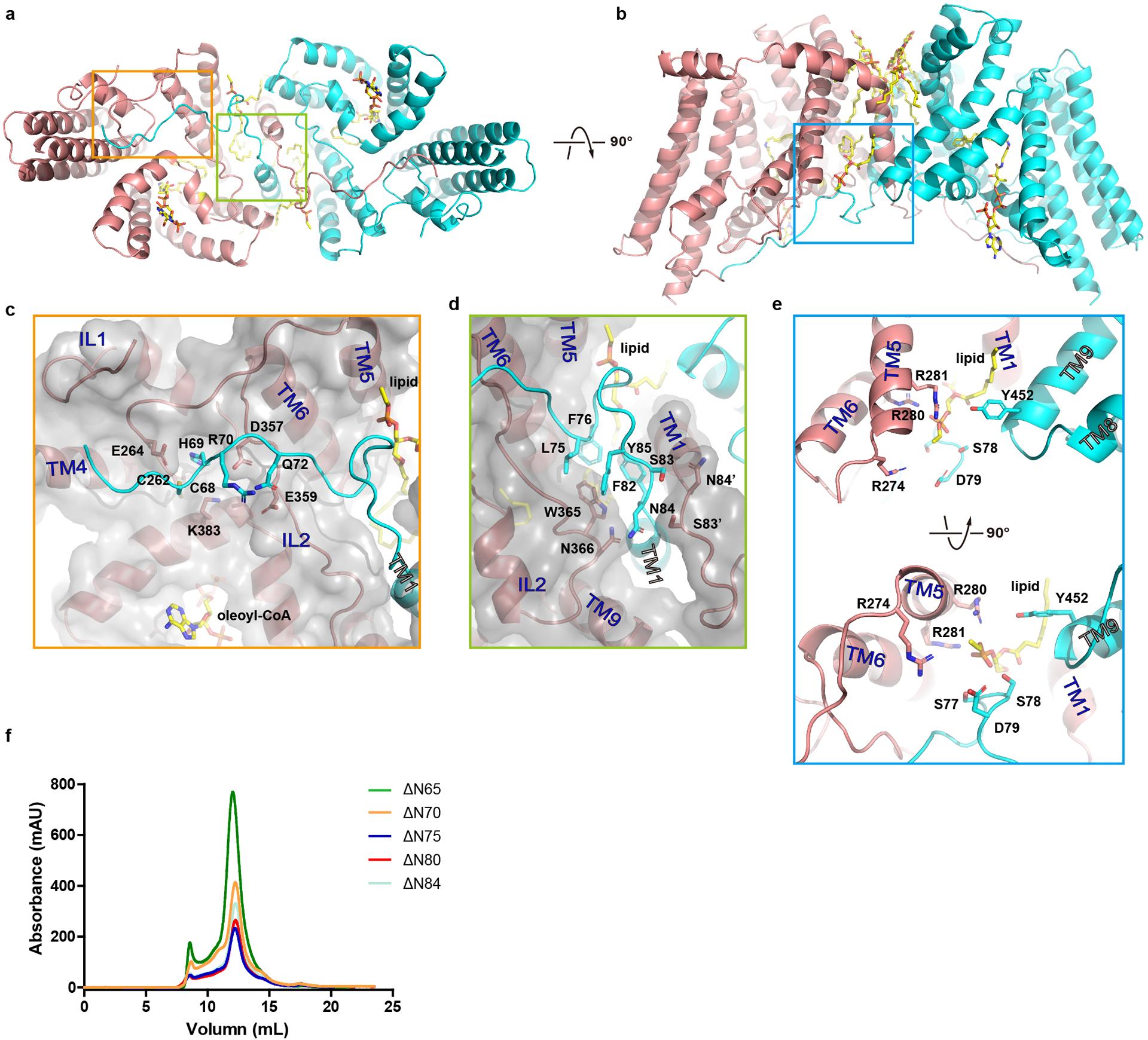https://cdn.ncbi.nlm.nih.gov/pmc/blobs/26ed/7255049/2857df5bbd9f/nihms-1577726-f0008.jpg