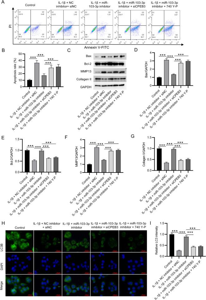 https://cdn.ncbi.nlm.nih.gov/pmc/blobs/26ee/11954267/1bd154c77e18/13018_2025_5719_Fig5_HTML.jpg