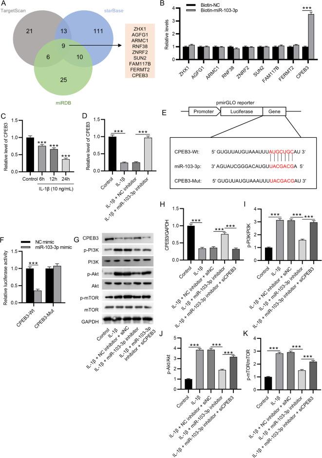 https://cdn.ncbi.nlm.nih.gov/pmc/blobs/26ee/11954267/411917edd406/13018_2025_5719_Fig4_HTML.jpg