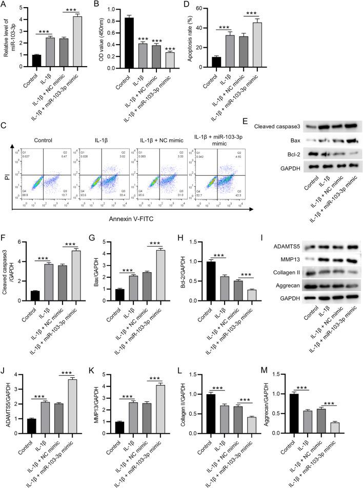 https://cdn.ncbi.nlm.nih.gov/pmc/blobs/26ee/11954267/d77beeec7dd8/13018_2025_5719_Fig2_HTML.jpg