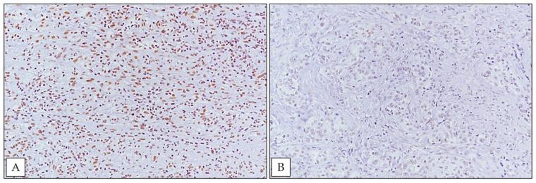 https://cdn.ncbi.nlm.nih.gov/pmc/blobs/26ef/8296067/100b55d126b9/ijerph-18-06249-g002.jpg