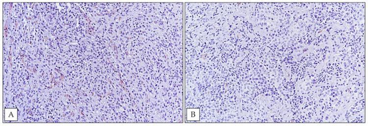 https://cdn.ncbi.nlm.nih.gov/pmc/blobs/26ef/8296067/ced169019b6d/ijerph-18-06249-g004.jpg