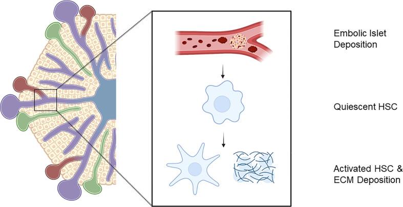 https://cdn.ncbi.nlm.nih.gov/pmc/blobs/26f0/10497759/63c27b844731/fendo-14-1250126-g002.jpg