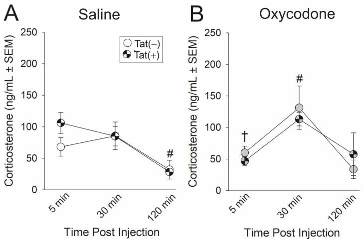 https://cdn.ncbi.nlm.nih.gov/pmc/blobs/26f0/7662349/202540923be6/ijms-21-08212-g004.jpg