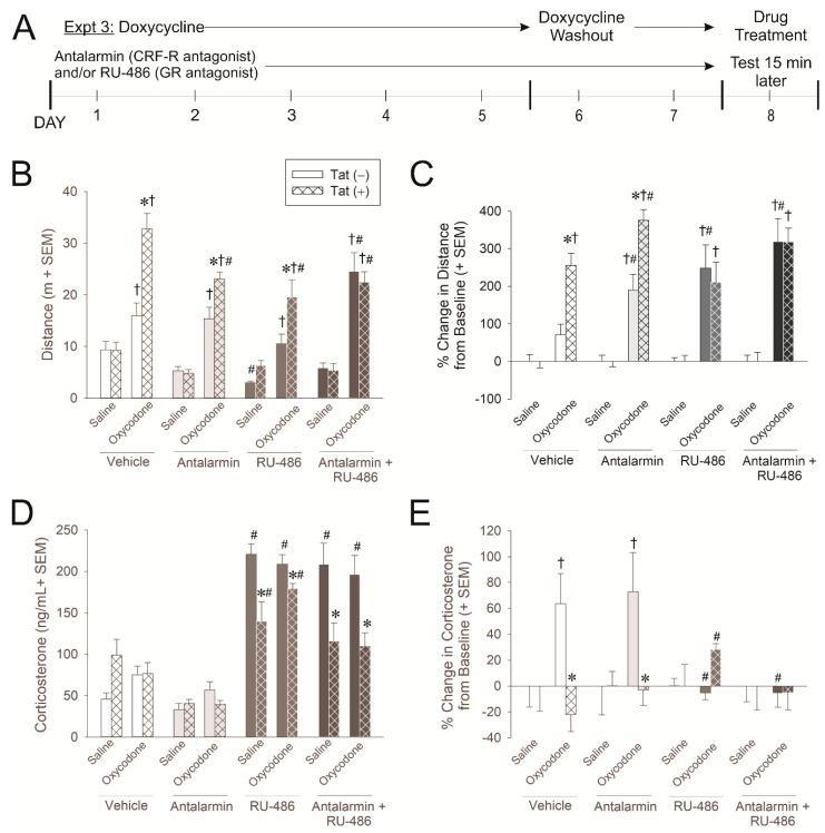 https://cdn.ncbi.nlm.nih.gov/pmc/blobs/26f0/7662349/252d916fcb3a/ijms-21-08212-g003.jpg