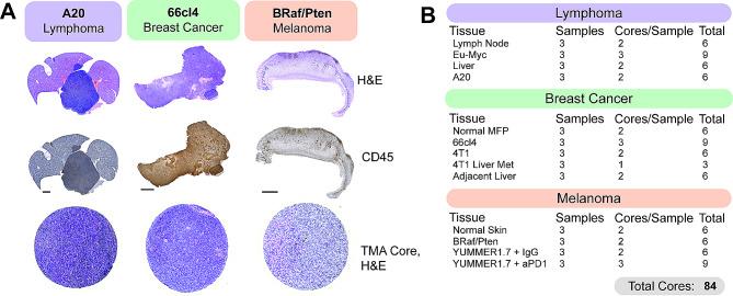 https://cdn.ncbi.nlm.nih.gov/pmc/blobs/26f1/10840224/08bf440cd8da/13578_2024_1199_Fig3_HTML.jpg