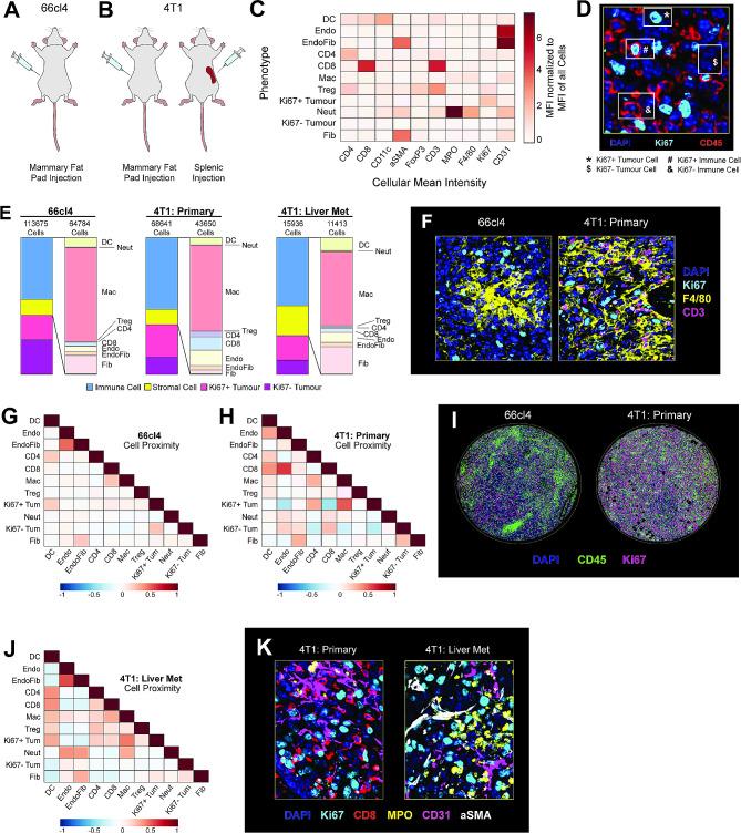 https://cdn.ncbi.nlm.nih.gov/pmc/blobs/26f1/10840224/bd5e5b5c8dd1/13578_2024_1199_Fig5_HTML.jpg