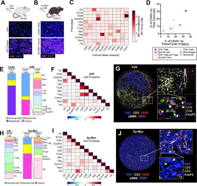 https://cdn.ncbi.nlm.nih.gov/pmc/blobs/26f1/10840224/ec8118f794f5/13578_2024_1199_Fig4_HTML.jpg