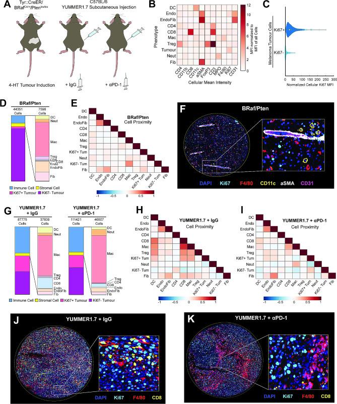 https://cdn.ncbi.nlm.nih.gov/pmc/blobs/26f1/10840224/ff961e6ce175/13578_2024_1199_Fig6_HTML.jpg