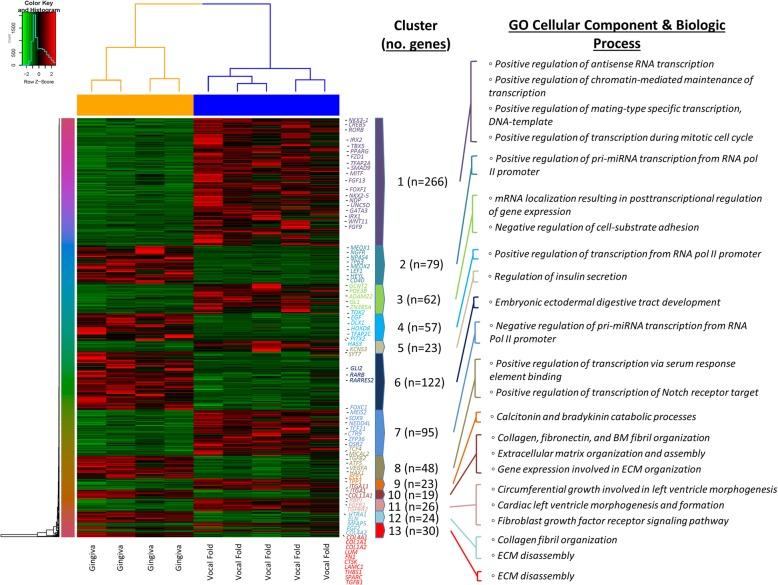 https://cdn.ncbi.nlm.nih.gov/pmc/blobs/26f1/6480701/5dd853f55747/12864_2019_5682_Fig7_HTML.jpg