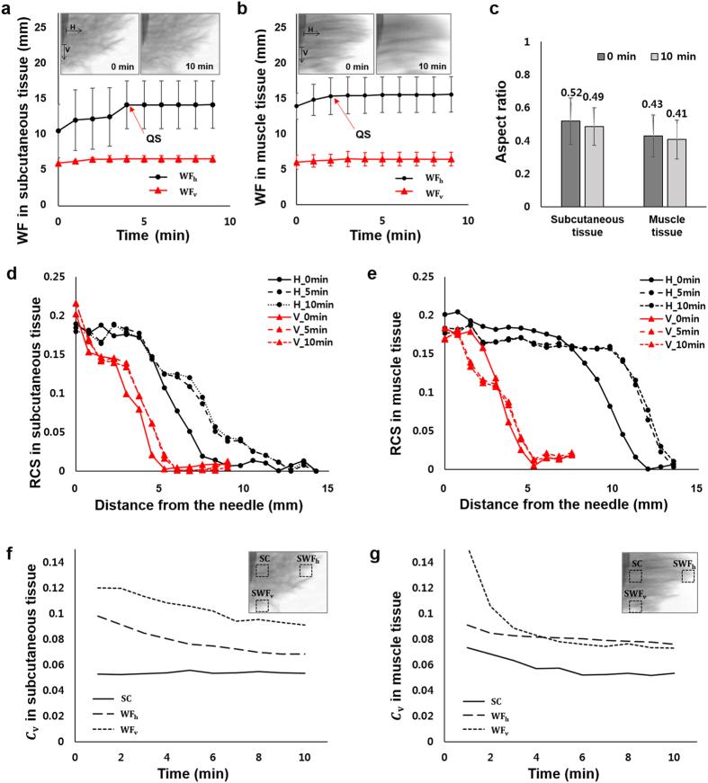 https://cdn.ncbi.nlm.nih.gov/pmc/blobs/26f2/5575294/840a595f88eb/41598_2017_10110_Fig6_HTML.jpg