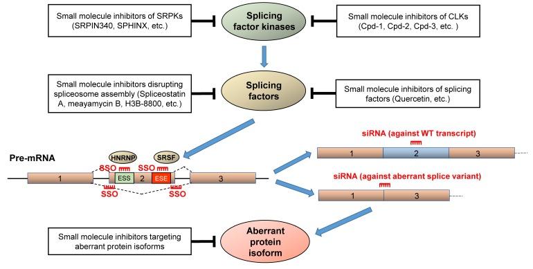 https://cdn.ncbi.nlm.nih.gov/pmc/blobs/26f2/6266310/f4b08617889e/cancers-10-00458-g005.jpg