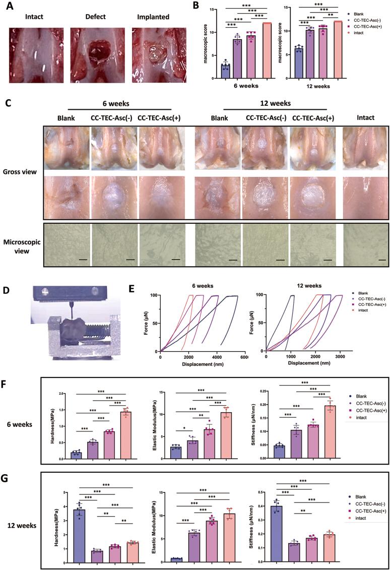 https://cdn.ncbi.nlm.nih.gov/pmc/blobs/26f3/10979122/7af5fdc5f6eb/gr6.jpg